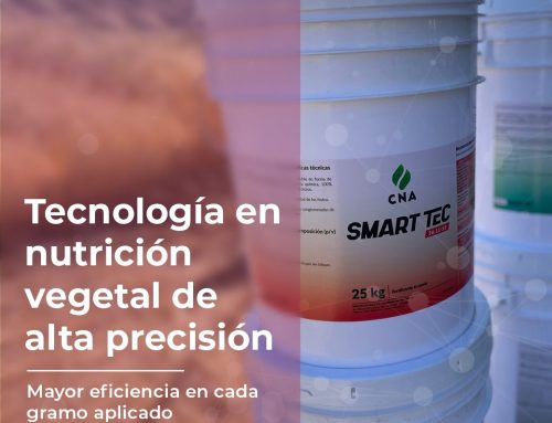 Smart Tec: Tecnología en nutrición vegetal de alta precisión