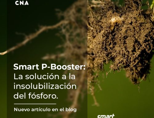 La solución a la insolubilización del fósforo